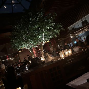 Toca Madera Scottsdale - Mexican Near Me - Scottsdale, Arizona Toca Madera Scottsdale - Mexican Near Me - Scottsdale, Arizona