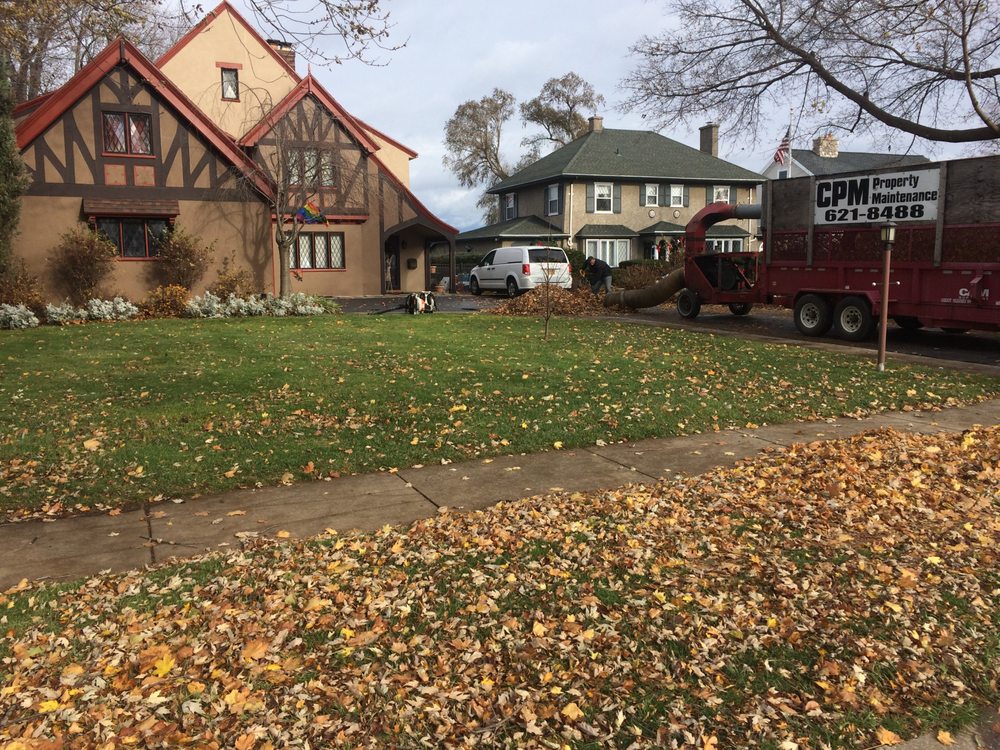 CPM Property Services - tree service in Webster, NY