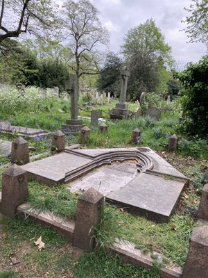 Brompton Cemetery by null