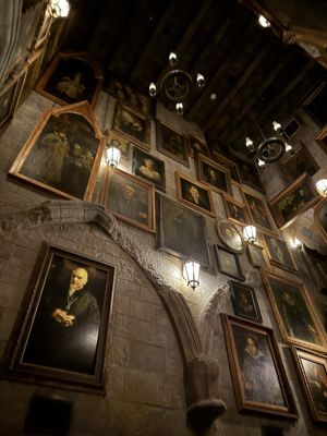 Harry Potter and the Forbidden Journey by null