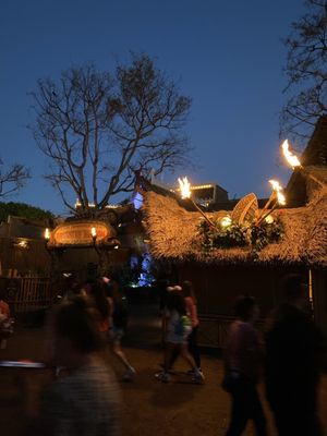 Tiki Juice Bar by null