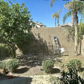 Alex's Tree Services - After - Tree Services Near Me Alex's Tree Services - After - Tree Services Near Me