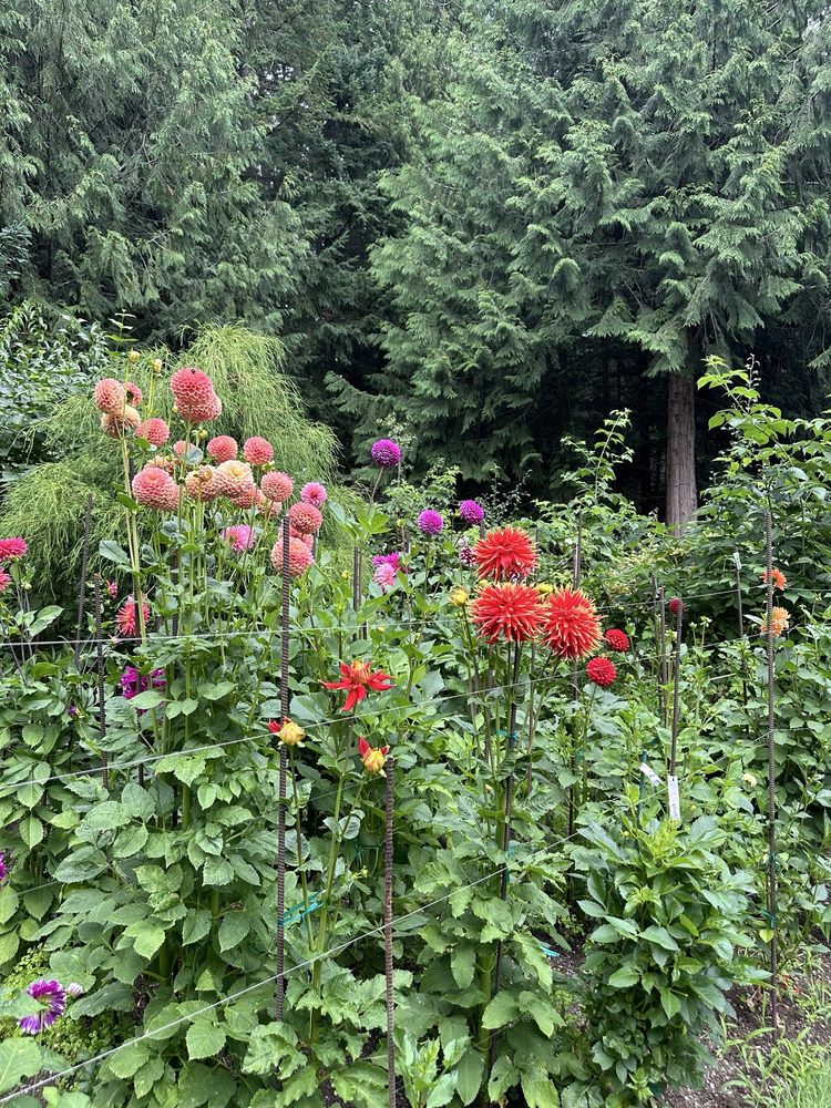 Butler's Farm - beekeeping in Gig Harbor, WA