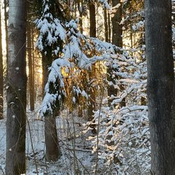 Brückkanal - ... Winterstimmung ...