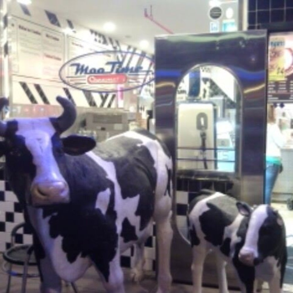 MooTime Creamery - MOOOOO outside - Ice Cream & Frozen Yogurt Near Me - Coronado, California