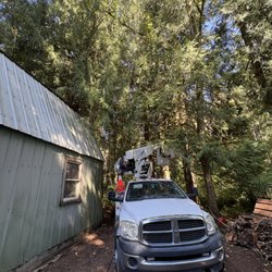 Pacific Tree Solutions