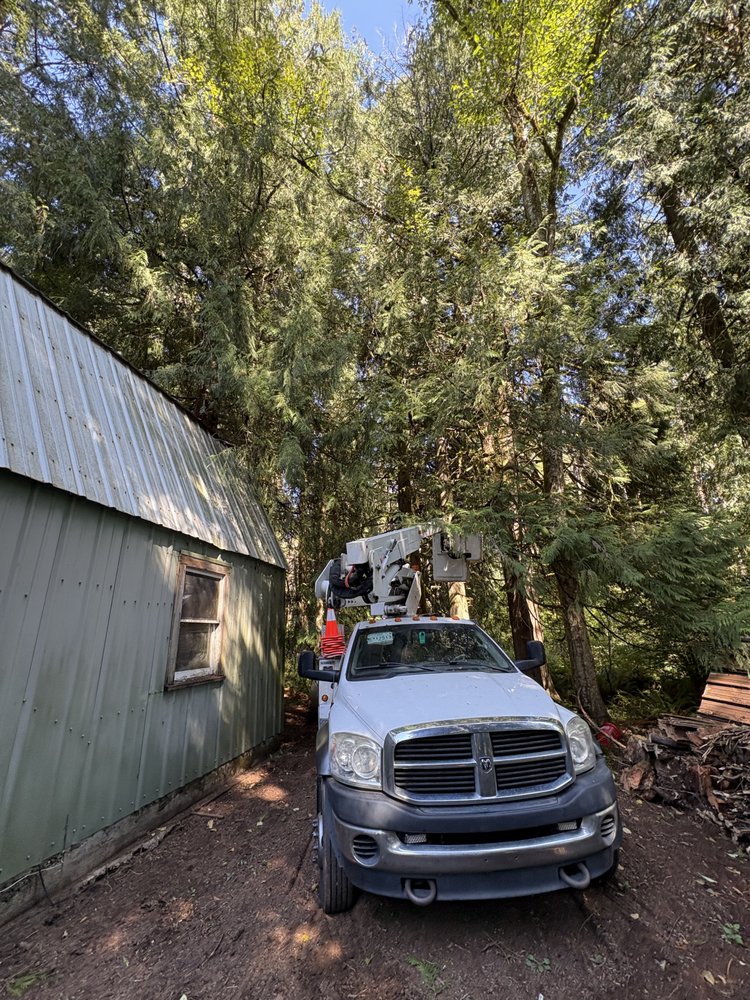 Pacific Tree Solutions - tree service in Canby, OR