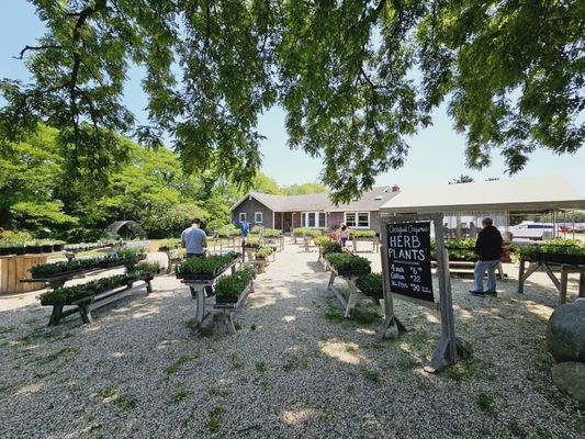 Sang Lee Farms by null