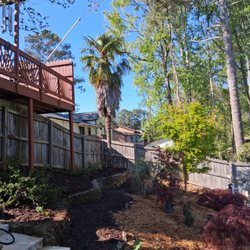 Timberline Tree Service & Landscaping