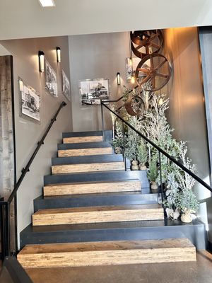 The Cache at Ginger and Baker by null