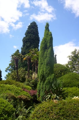Leonardslee Lakes & Gardens by null
