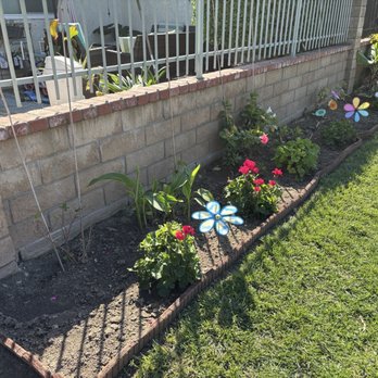Gilberto Garden Landscape,tree Triming and Removal - Extra weeds removed in the front yard - Gardeners Near Me Gilberto Garden Landscape,tree Triming and Removal - Extra weeds removed in the front yard - Gardeners Near Me