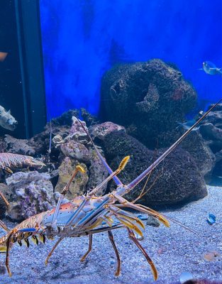 Ocean Aquaria - Home - Facebook