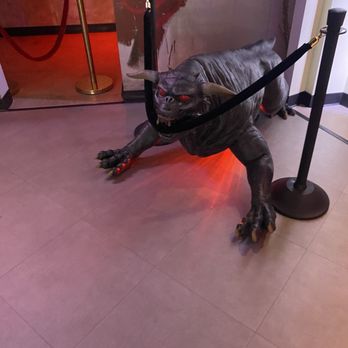Wonderverse - Ghostbusters Dog - Bars Near Me - Oak Brook, Illinois
