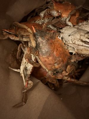 Hooper's Crab House by null