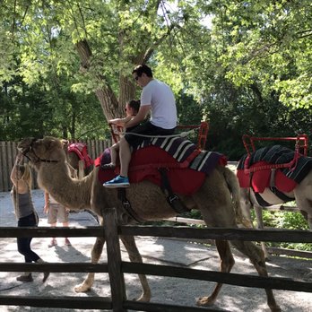 Blank Park Zoo - My husband and toddler got to ride a freaking camel -- she LOVED it! - Zoos Near Me - Des Moines, Iowa Blank Park Zoo - My husband and toddler got to ride a freaking camel -- she LOVED it! - Zoos Near Me - Des Moines, Iowa