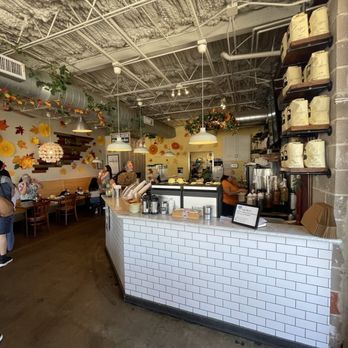 Dandelion Cafe - Coffee & Tea Near Me - Bellaire, Texas Dandelion Cafe - Coffee & Tea Near Me - Bellaire, Texas