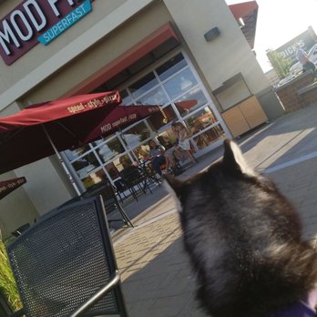 MOD Pizza - Chillin outside with the dog - Fast Food Near Me - Medford, Oregon