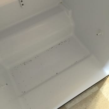 Marquis Carmel Commons - fruit flys in refrigerator (upon move in) - Apartments Near Me - Charlotte, North Carolina Marquis Carmel Commons - fruit flys in refrigerator (upon move in) - Apartments Near Me - Charlotte, North Carolina