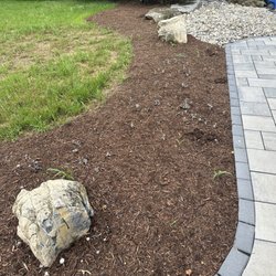 Lvpm Landscaping And Excavation - Mushrooms growing a week after mulch laid done, no vapor barrier