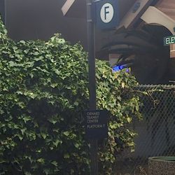 Amtrak