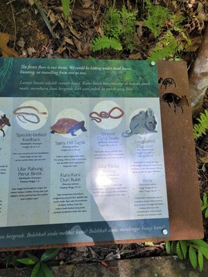 The Habitat Penang Hill by null