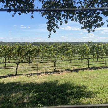 Napa Collection - Wineries Near Me - Johnson City, Texas