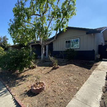 Will's Tree Care - After - Tree Services Near Me