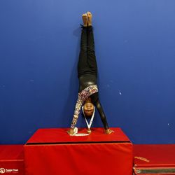 Dominique Dawes Academy - Talent