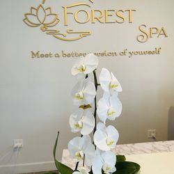 Forest Massage Spa
