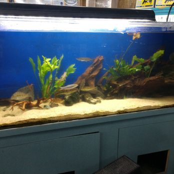 Whitie's Pets - Local Fish Stores Near Me - Fresno, California Whitie's Pets - Local Fish Stores Near Me - Fresno, California