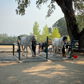 Equine Unlimited - Horseback Riding Near Me - Rescue, California Equine Unlimited - Horseback Riding Near Me - Rescue, California