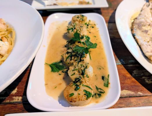 Le Petit Pêcheur by null