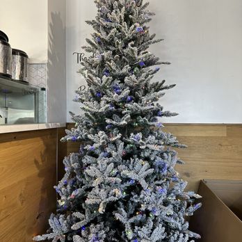 Teaspoon - Oh Xmas Tree, why you look So sad - Coffee & Tea Near Me - Visalia, California