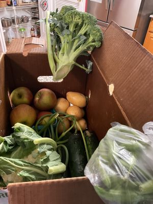 Full Circle Farm CSA by null