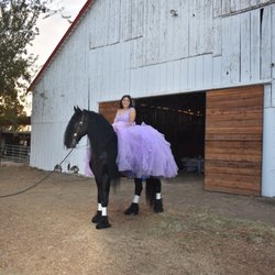 Cavallo Riding Center