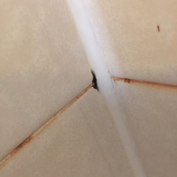 Sequoia Campground & Lodge - More mold - Resorts Near Me - Three Rivers, California Sequoia Campground & Lodge - More mold - Resorts Near Me - Three Rivers, California