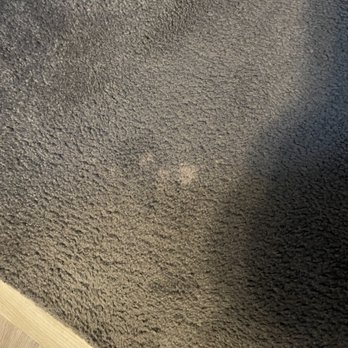 STANLEY STEEMER - Updated January 2025 - 16 Reviews - 7300 Milnor