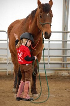 Dun Roamin Farm - equestrian in Millport, NY