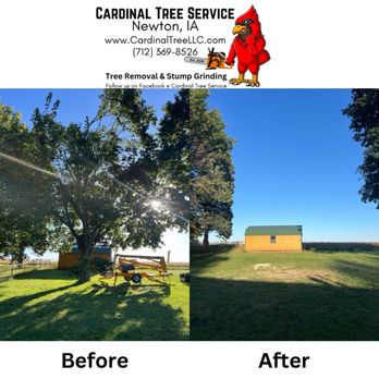 Cardinal Tree Service - Tree Services Near Me Cardinal Tree Service - Tree Services Near Me
