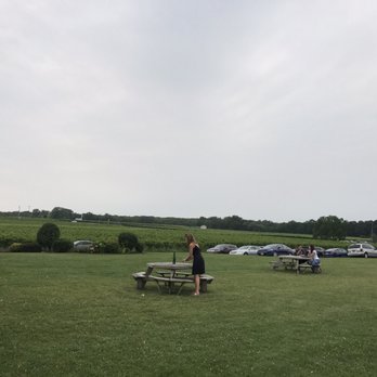 Thirsty Owl Wine Company - more views - Wineries Near Me - Ovid, New York