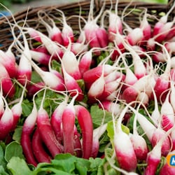 Main St. Station Farmers Market