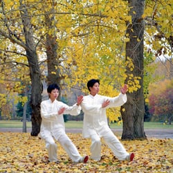 Fitness 299 - Our Taiji classes are designed for systematic learning. Fast to learn and high teacher to student ratio.