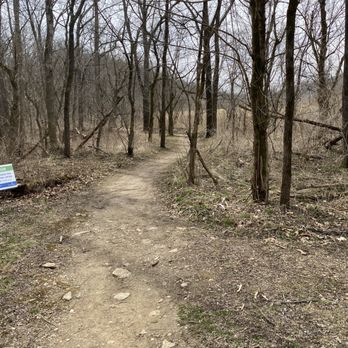 Wild Hyacinth trail - Hiking Near Me - Louisville, Kentucky Wild Hyacinth trail - Hiking Near Me - Louisville, Kentucky