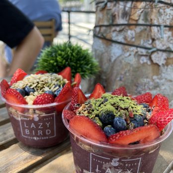 Lazy Bird - Acai Bowls Near Me - West Hollywood, California Lazy Bird - Acai Bowls Near Me - West Hollywood, California