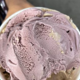 Mocha Chip Ice Cream