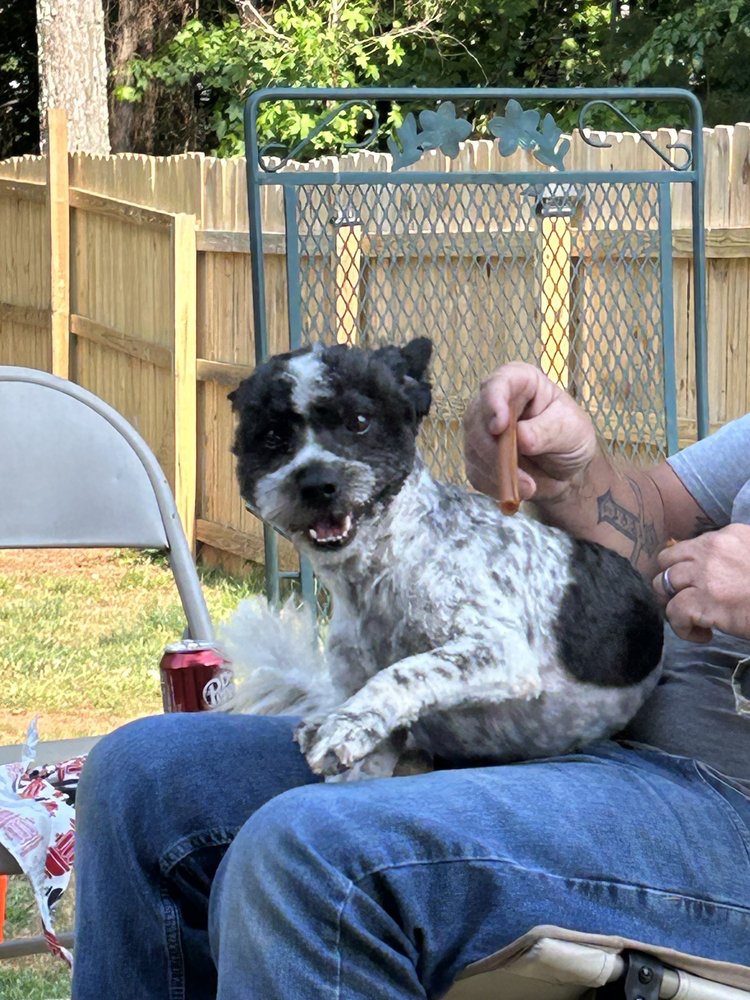 Photos of ROYAL PET RESORT Updated August 2024 25 Photos & 18