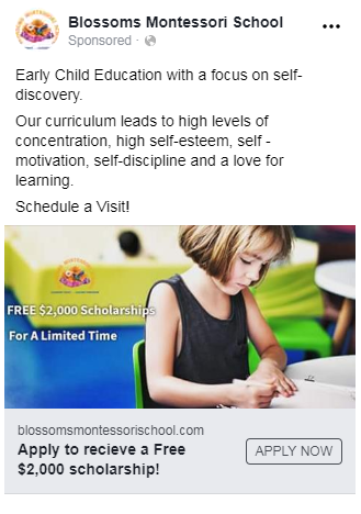 Blossoms Montessori School - childcare center in Spring, TX