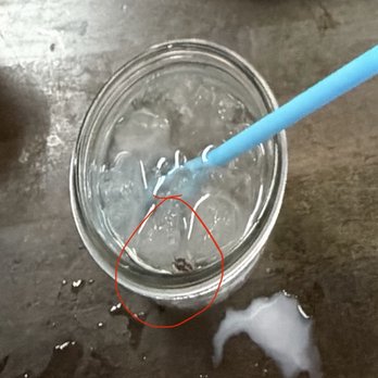 Grapevine Cafe - Bug in my water. - Breakfast & Brunch Near Me - South Padre Island, Texas Grapevine Cafe - Bug in my water. - Breakfast & Brunch Near Me - South Padre Island, Texas
