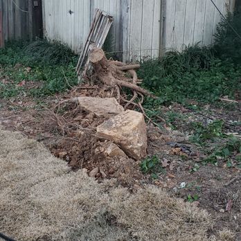 Solid As A Rock - Landscaping Near Me - Little Rock, Arkansas